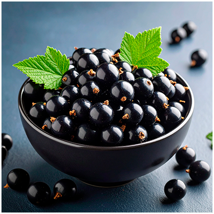 Black Currant Natural Flavour Powder